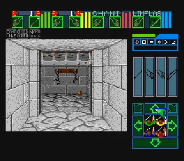 Dungeon Master (USA) screen shot game playing